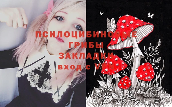 соль ск Балахна